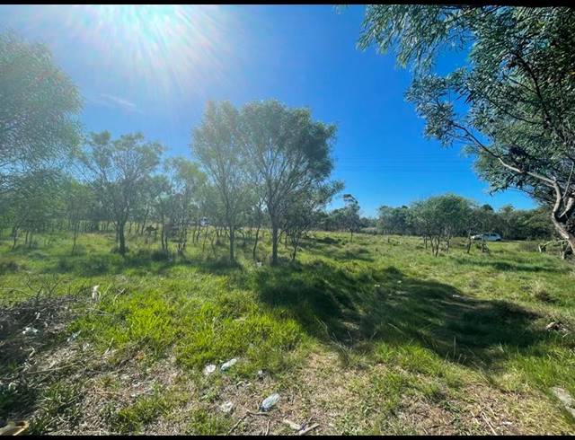 LAND FOR SALE IN GREENBUSHES